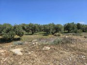 Latsima Kreta, Latsima: Großes bebaubares Grundstück zum Verkauf Grundstück kaufen